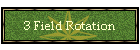3 Field Rotation